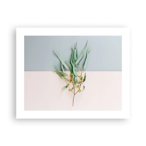 Poster - Subtiliteit in pastelkleuren - 50x40 cm
