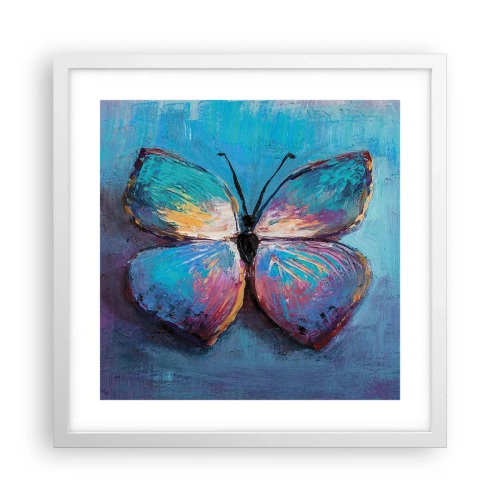 Poster in een witte lijst - In al zijn glorie - 40x40 cm