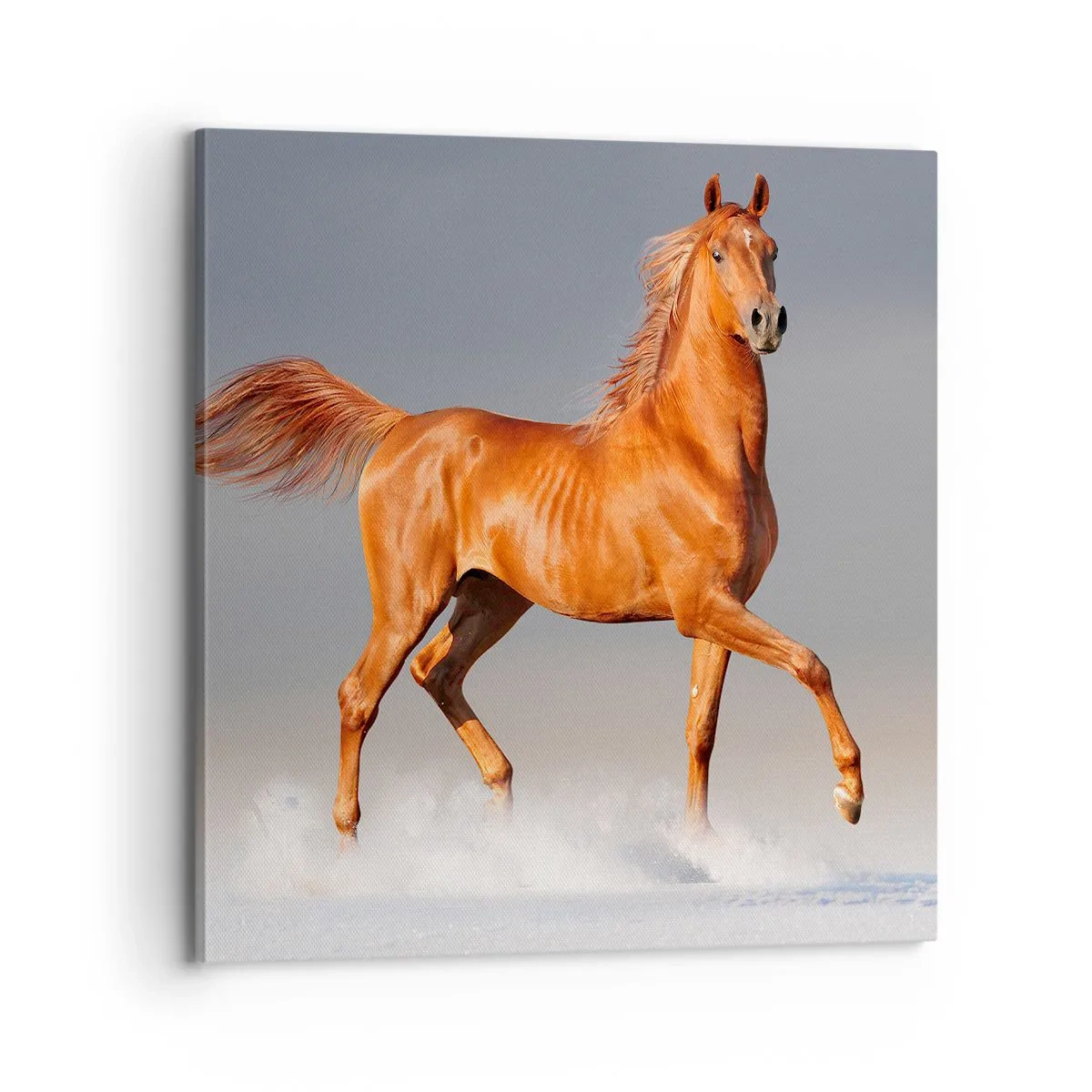 Schilderen op canvas - Dansende elegantie - 70x70 cm