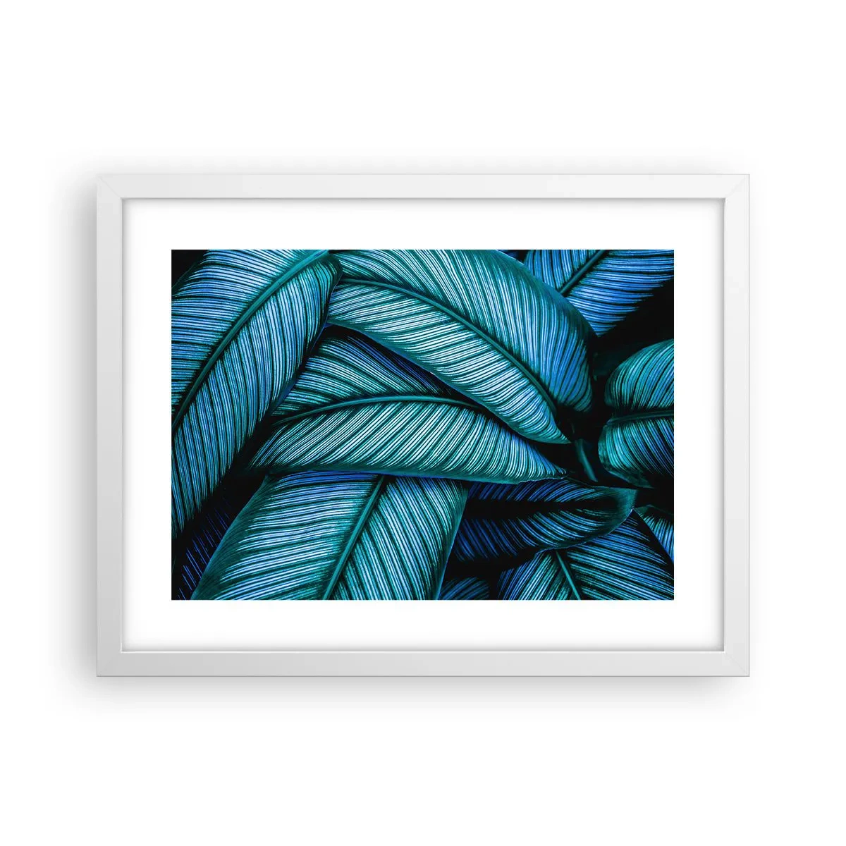 Poster in een witte lijst - Levens lijnen - 40x30 cm