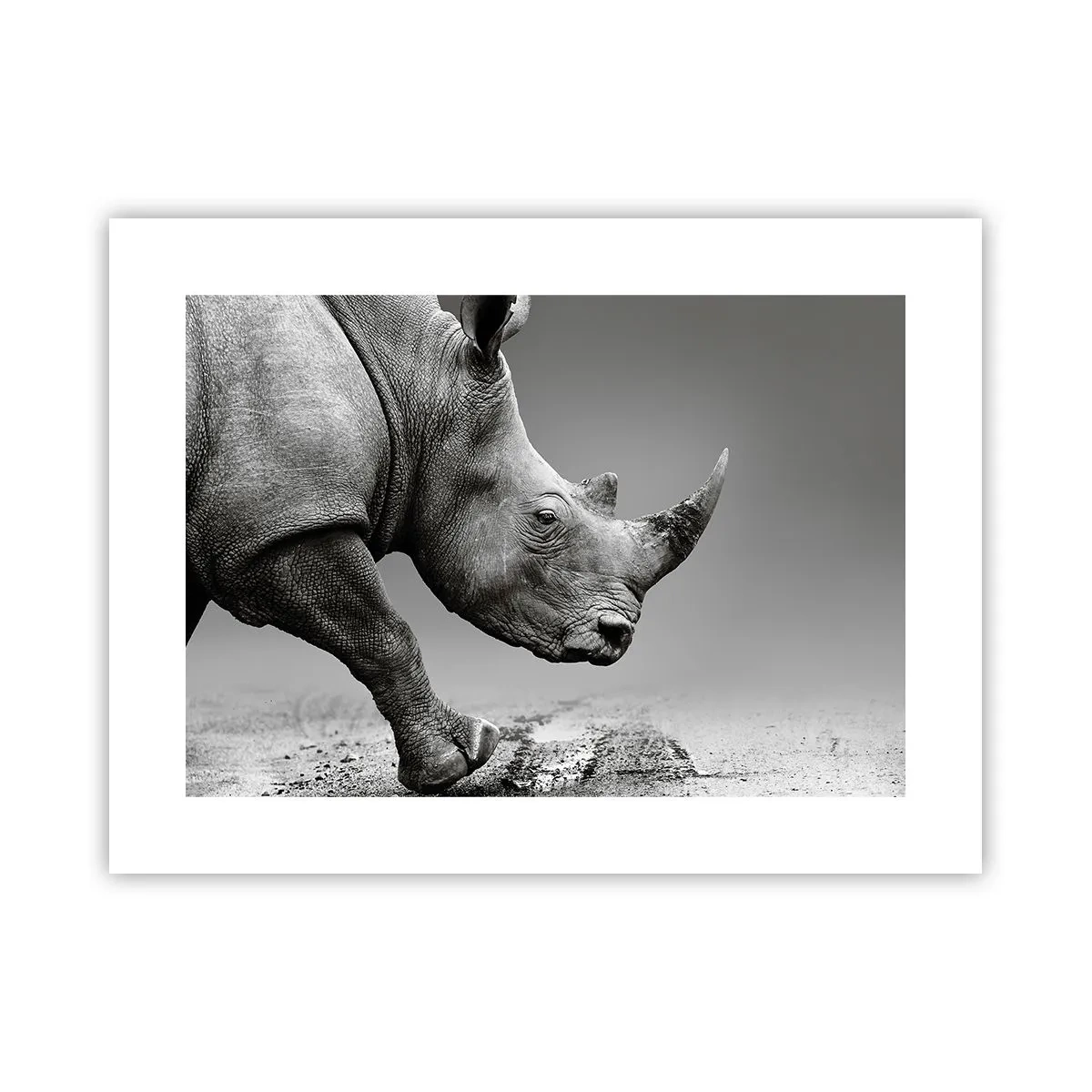 Poster - Onstuitbare kracht - 40x30 cm