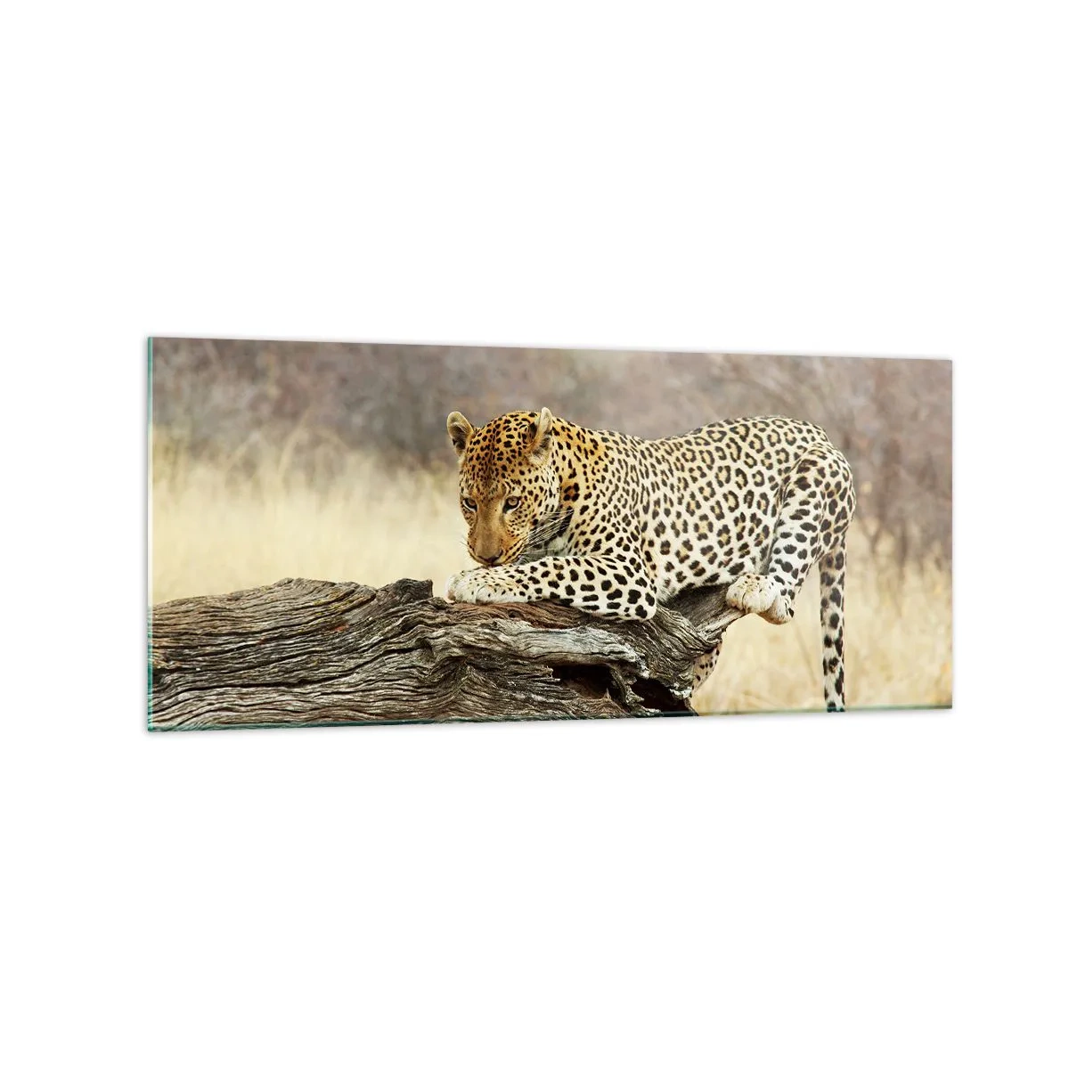 Schilderen op glas - Ik ga mijn eigen weg - 120x50 cm