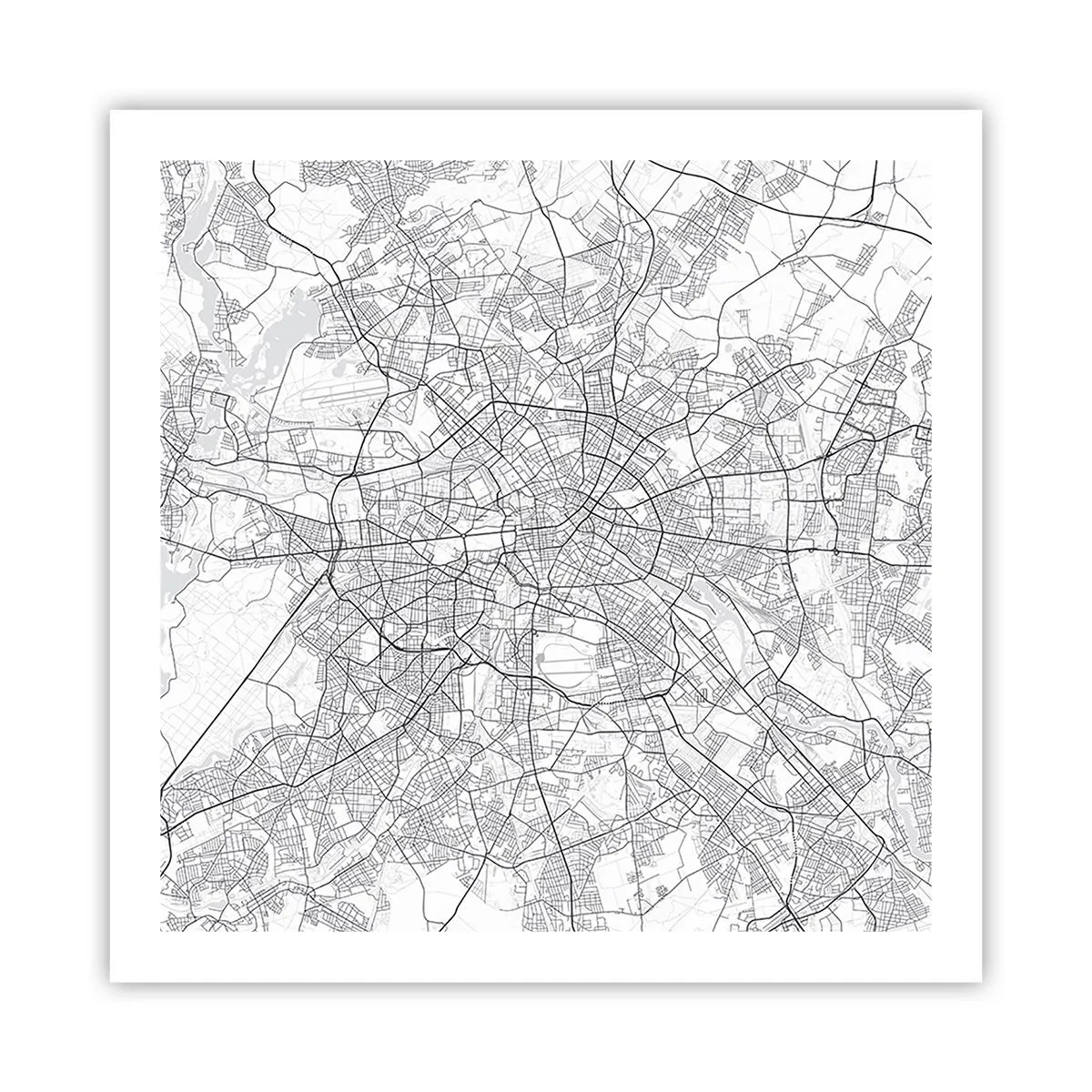 Poster - Berlijnse bloem - 60x60 cm