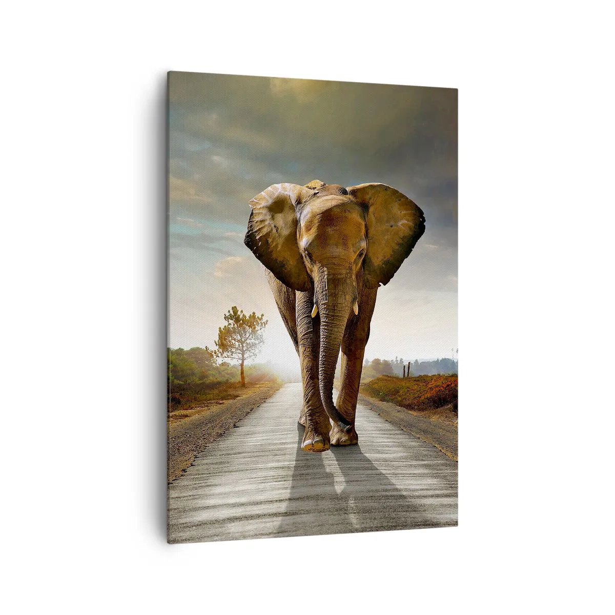 Schilderen op canvas - En helemaal niet in een porseleinen pakhuis - 70x100 cm