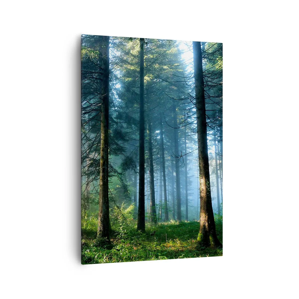 Schilderen op canvas - Stralend in de ochtend - 70x100 cm