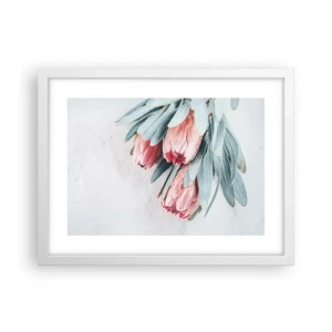 Poster in een witte lijst - Schaamt zich voor hun eigen schoonheid - 40x30 cm