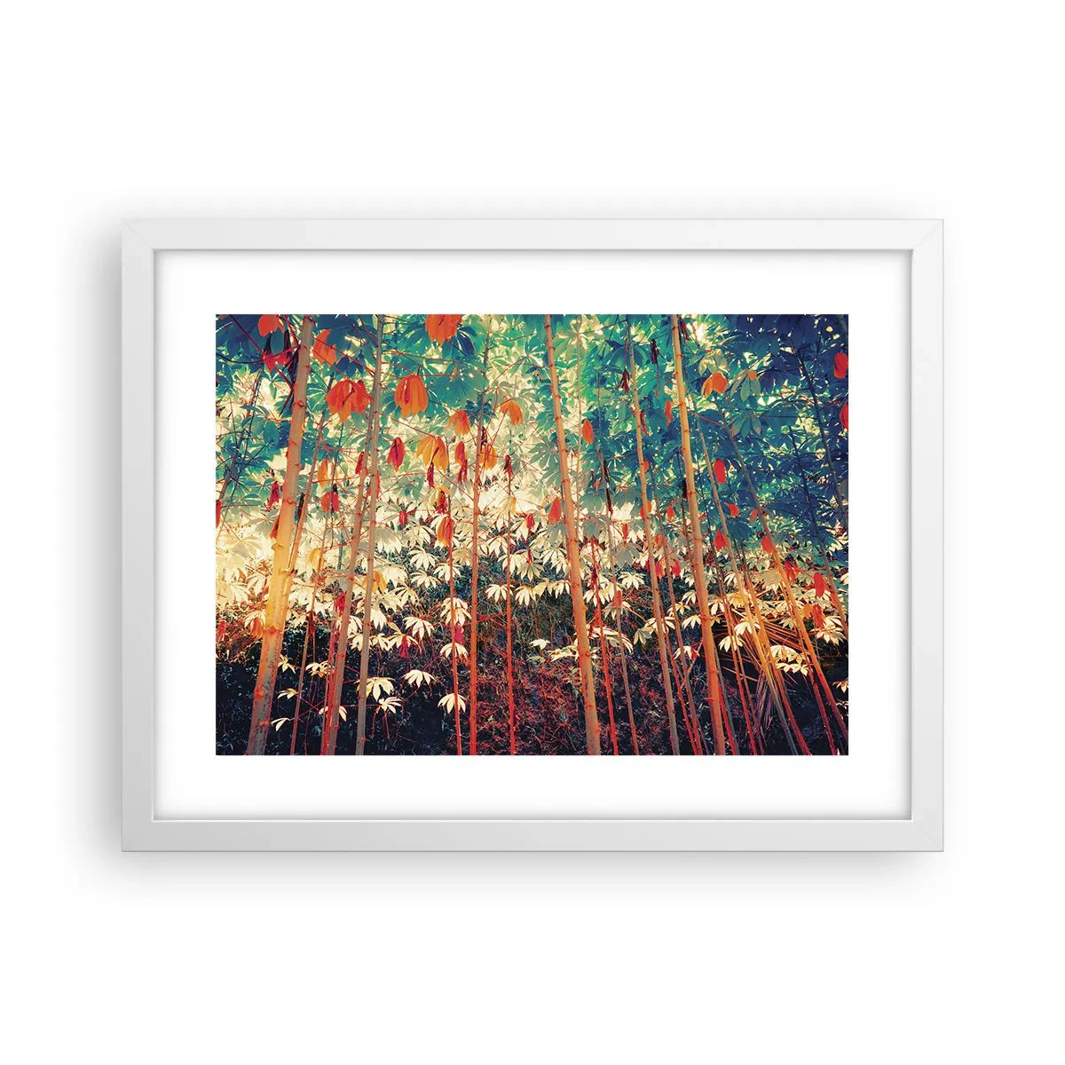 Poster in een witte lijst - Het geheime leven van de bladeren - 40x30 cm