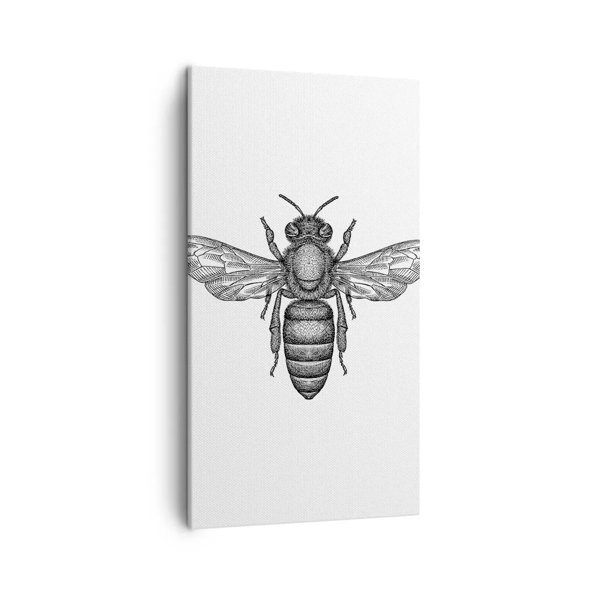 Schilderen op canvas - Insectenportret - 45x80 cm