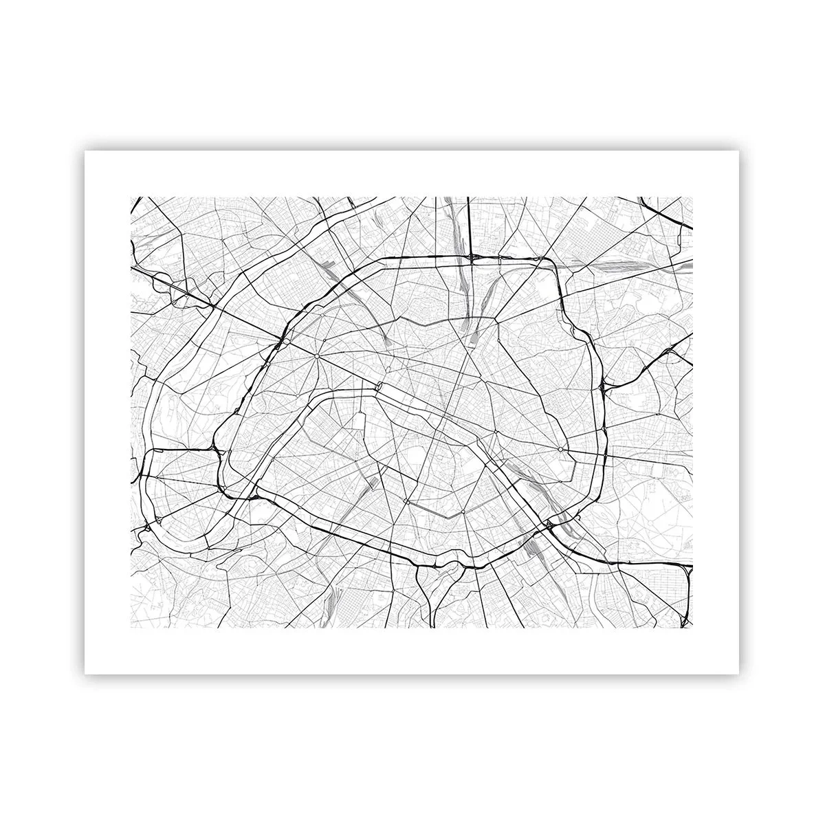 Poster - Parijs bloem - 50x40 cm