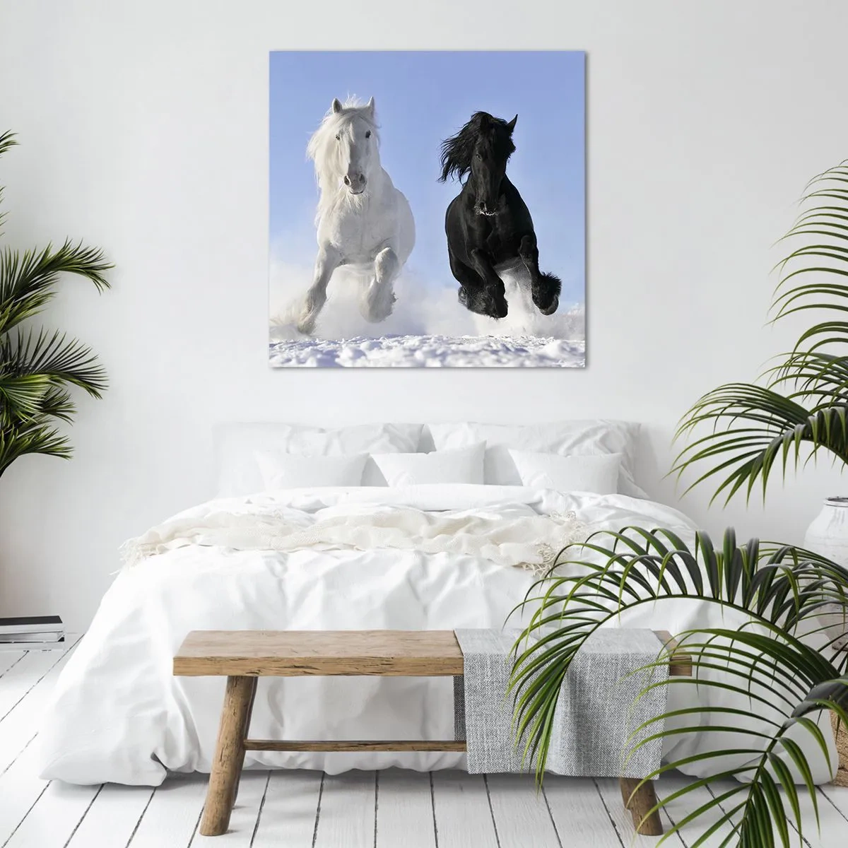 Schilderen op canvas - Zwart-wit galop - 40x40 cm