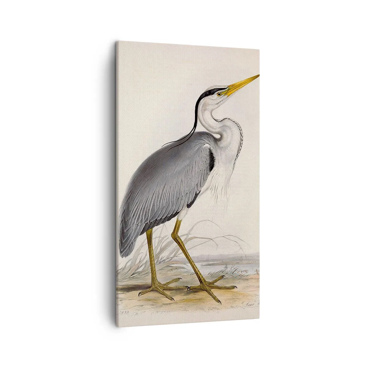 Schilderen op canvas - Charmes van de reiger - 45x80 cm