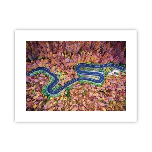 Poster - Een kronkelende weg door het bos - 40x30 cm