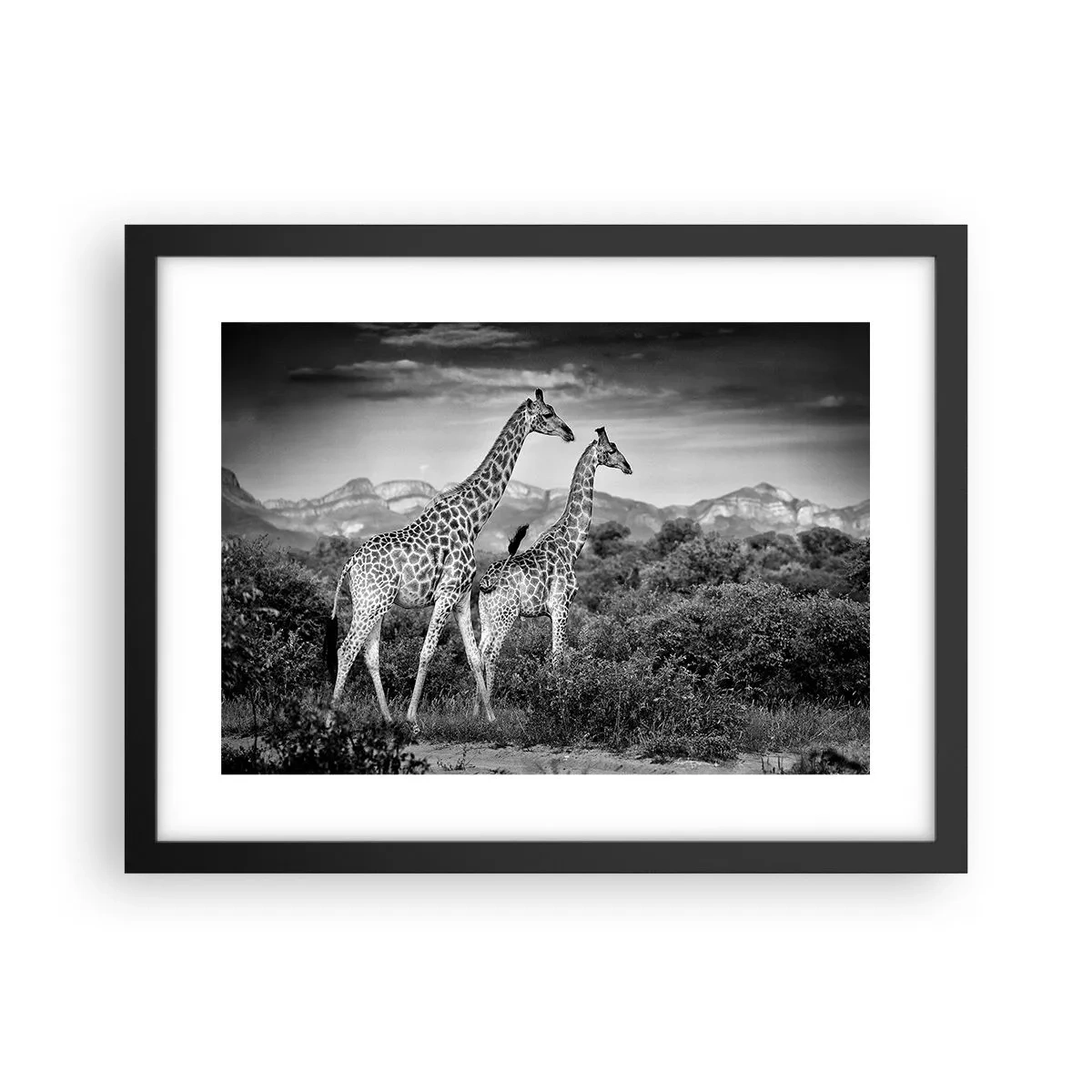 Poster in een zwarte lijst - Hoge sferen in Afrika - 40x30 cm