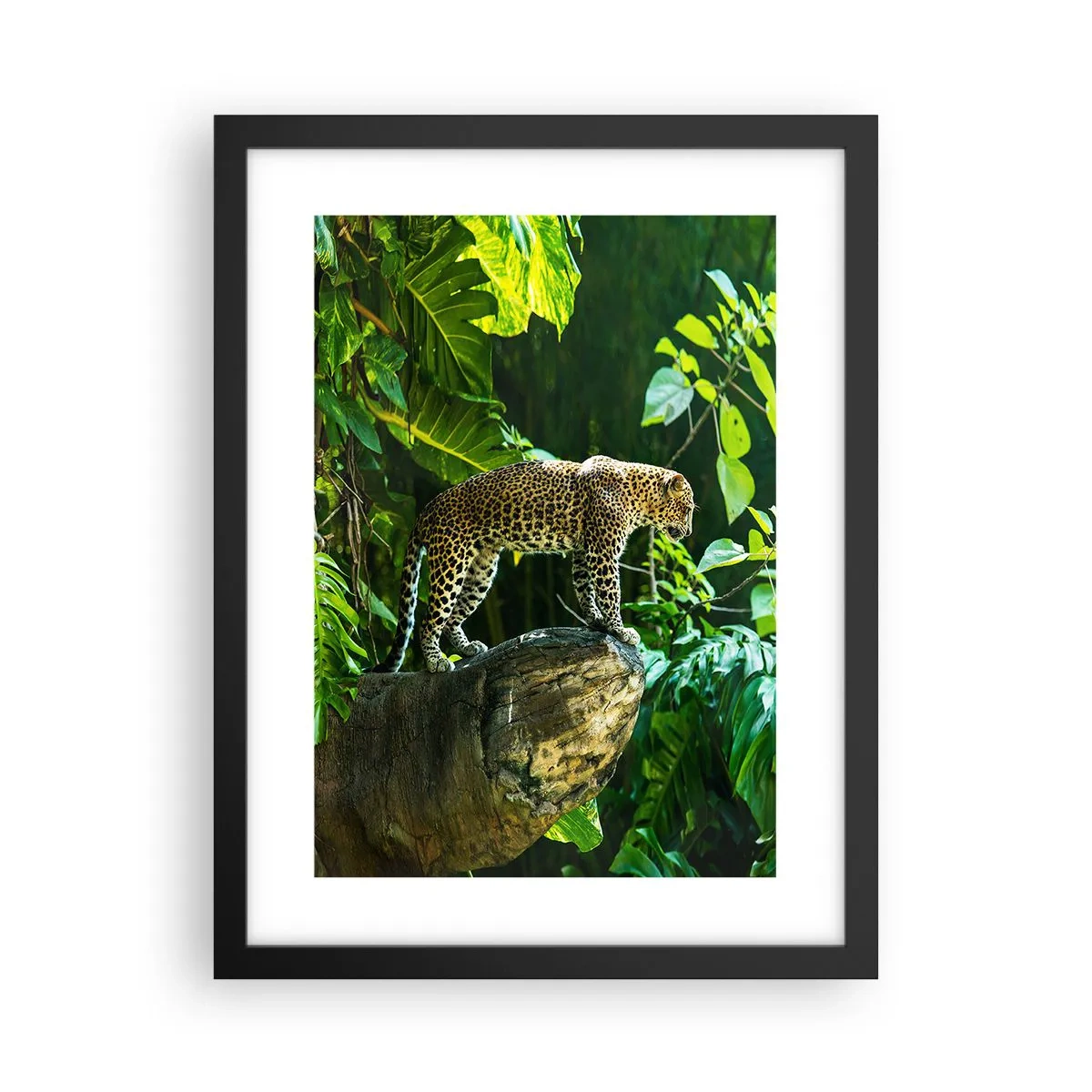 Poster in een zwarte lijst - Op jacht? - 30x40 cm