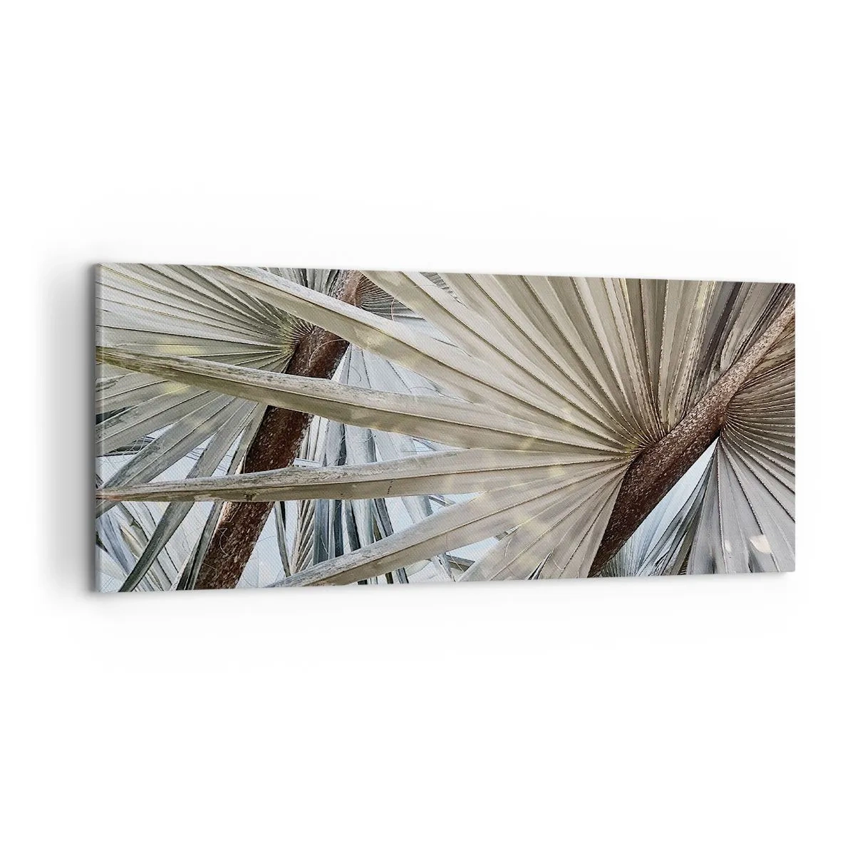 Schilderen op canvas - Fans in de tropen - 100x40 cm