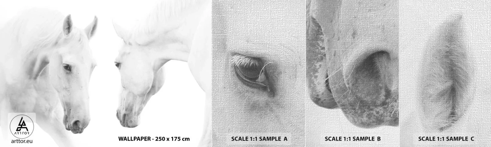 Fotobehang Monster Premium Canvas - Is dit vriendschap...? - Paarden, Natuur, Dieren - 100x30 cm