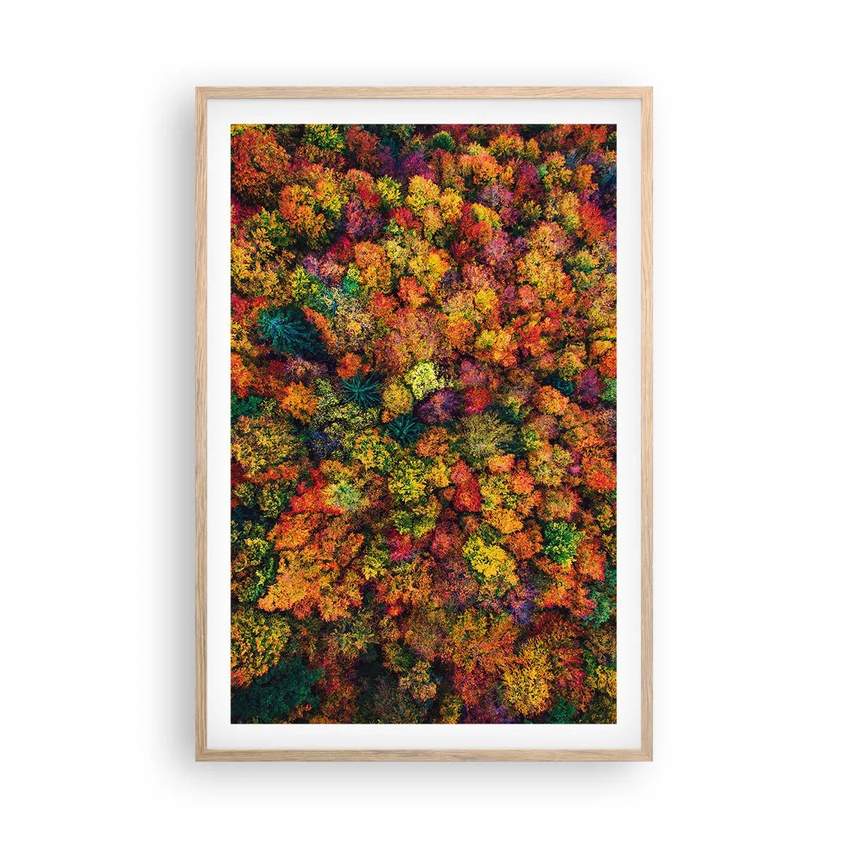 Een poster in een licht eiken lijst - Boeket herfstbomen - 61x91 cm