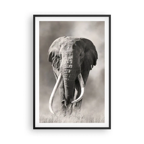 Poster in een zwarte lijst - Afrikaanse patriarch - 61x91 cm