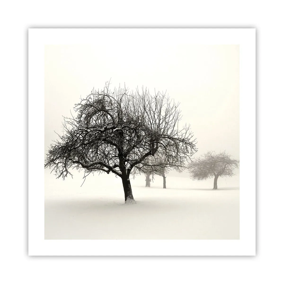 Poster - Winterslaap - 50x50 cm