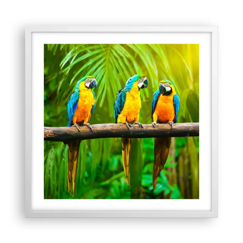 Poster in een witte lijst - En heb je gehoord dat ze...? - 50x50 cm