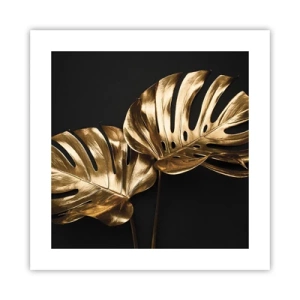 Poster - De schatten van de natuur - 40x40 cm