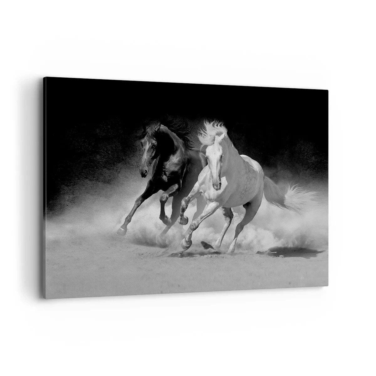 Schilderen op canvas - Vrijheidsgalop - 120x80 cm