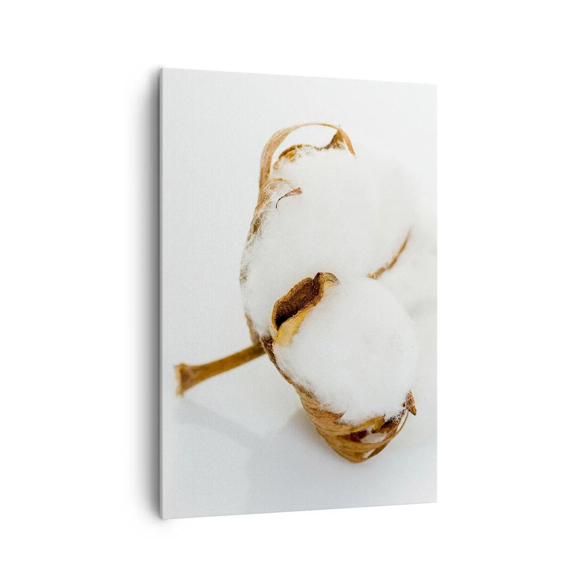 Schilderen op canvas - Zacht van aard - 70x100 cm