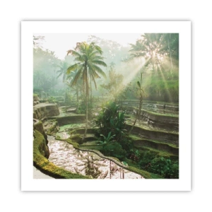 Poster - Opgroeien in de zon - 50x50 cm