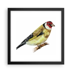 Poster in een zwarte lijst - Vogel portret - 30x30 cm