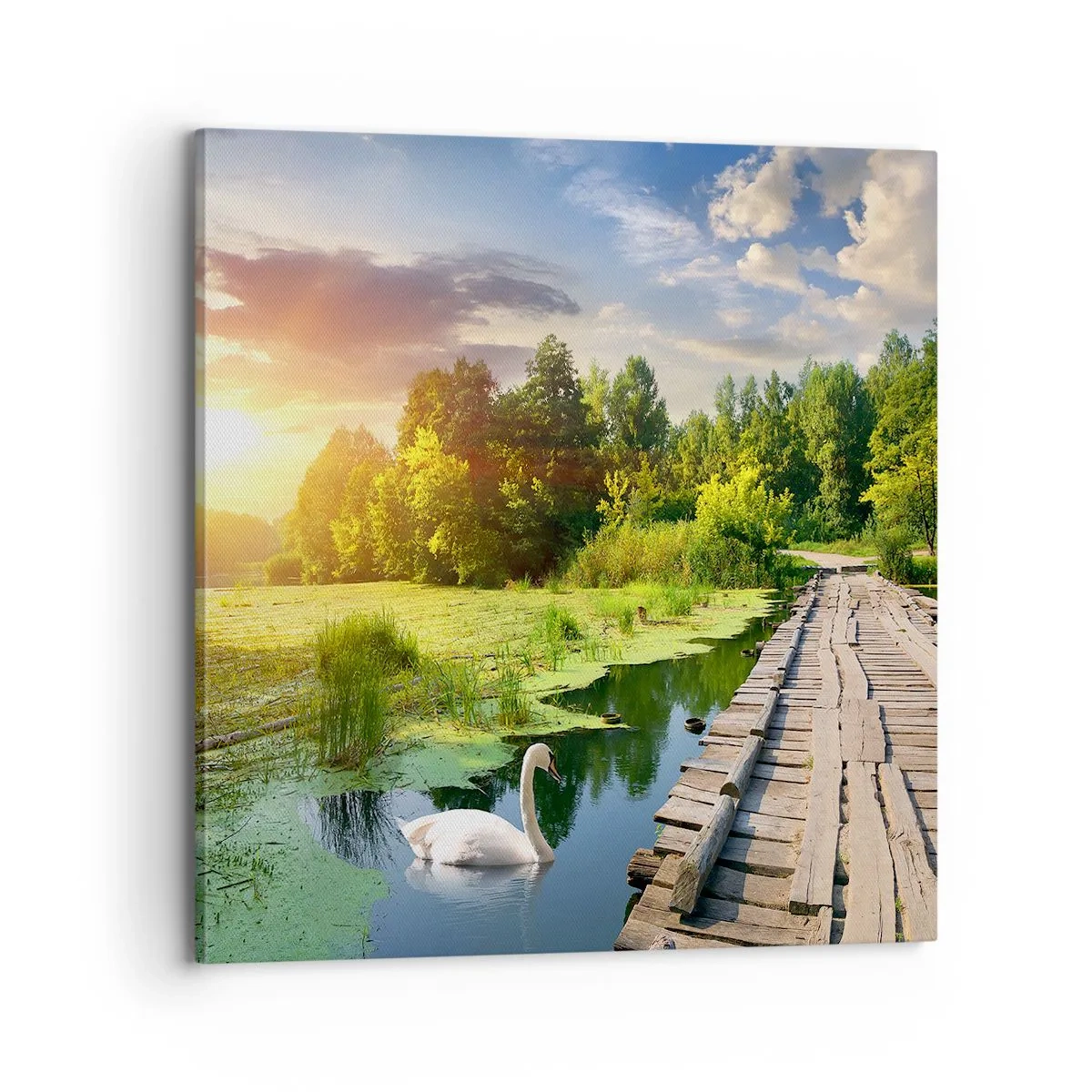 Schilderen op canvas - Zomer, zomer overal - 70x70 cm