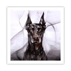 Poster - Hooggeboren - 60x60 cm