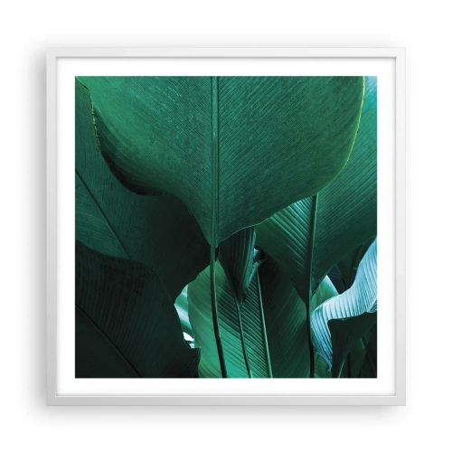 Poster in een witte lijst - Naar het licht gekeerd - 60x60 cm