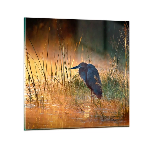 Schilderen op glas - Kom op, geef me een pauze met deze foto's - 60x60 cm