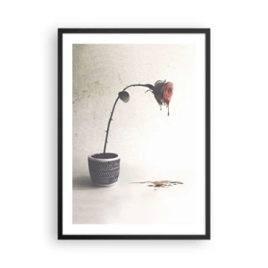 Poster in een zwarte lijst - Een potroos met een artistiek vloeiend effect - 50x70cm - Rosa dolorosa - Moderne wanddecoratie voor woonkamer en slaapkamer ARTTOR