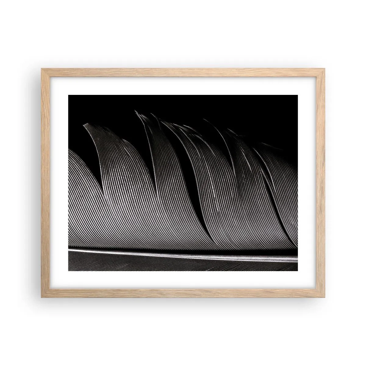 Een poster in een licht eiken lijst - Een veer - prachtig ontwerp - 50x40 cm