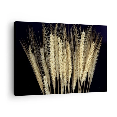Schilderen op canvas - Korenaren op een zwarte achtergrond in een rustieke stijl - 70x50cm - Rustieke magie - Moderne wanddecoratie voor woonkamer en slaapkamer ARTTOR