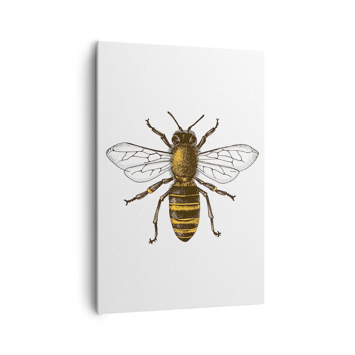 Schilderen op canvas - Mooi en goed - 70x100 cm