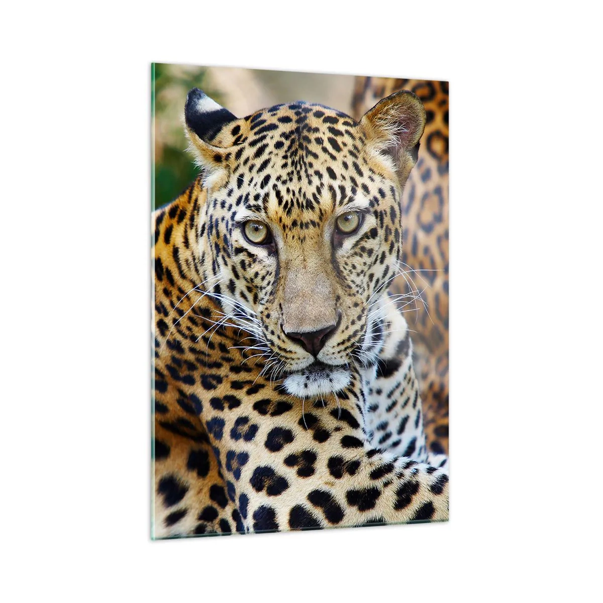 Schilderen op glas - Wild en kalm - 50x70 cm