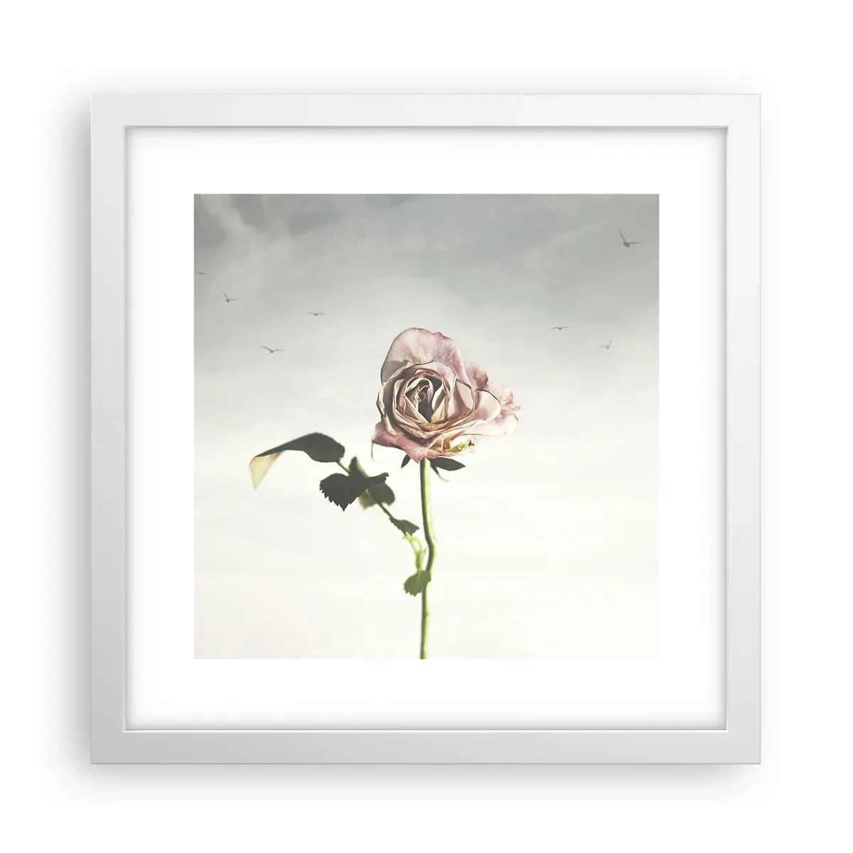 Poster in een witte lijst - Begroeting van de lente - 30x30 cm