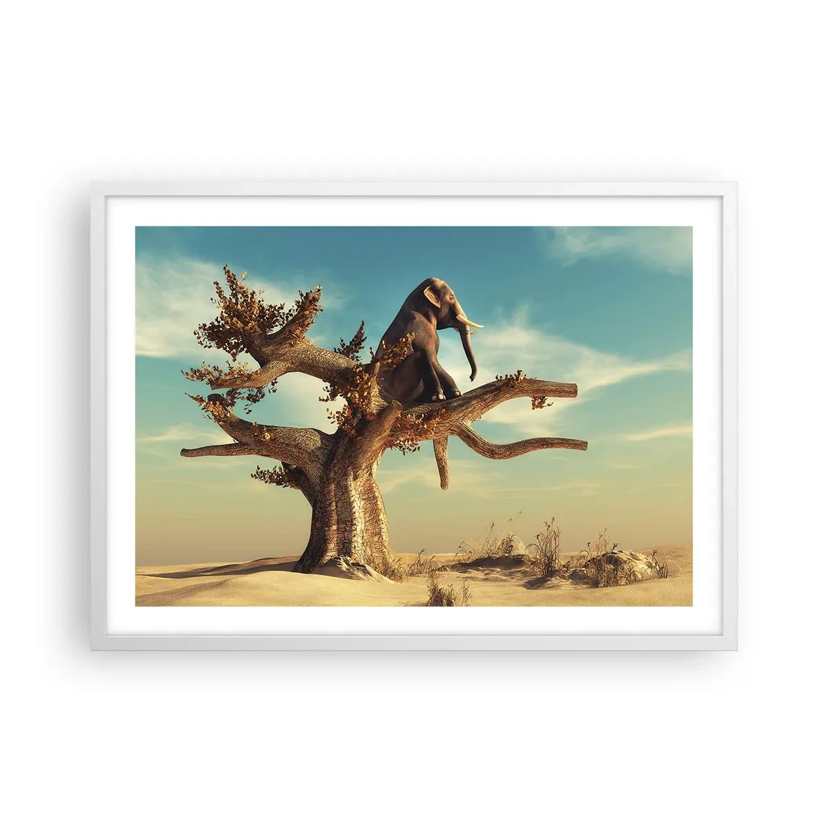 Poster in een witte lijst - Een nieuw gezichtspunt - 70x50 cm