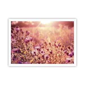 Poster - Voordat de zomer voorbij is - 100x70 cm