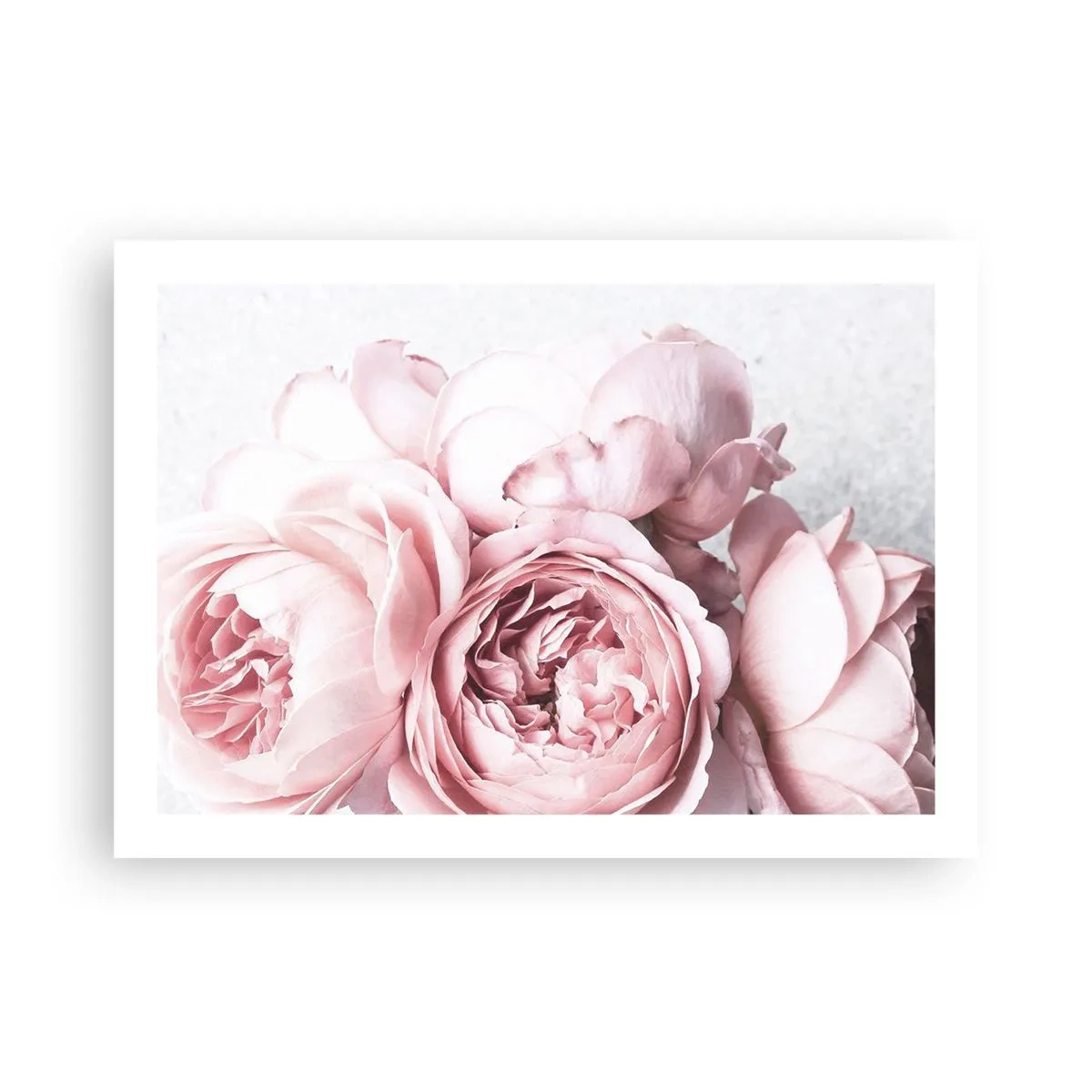 Poster - Voor romantici - 70x50 cm
