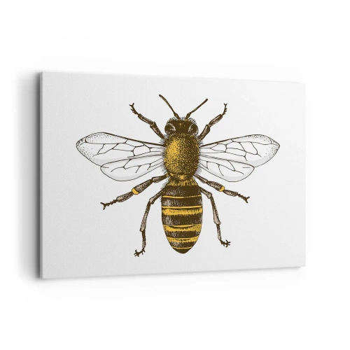 Schilderen op canvas - Mooi en goed - 100x70 cm