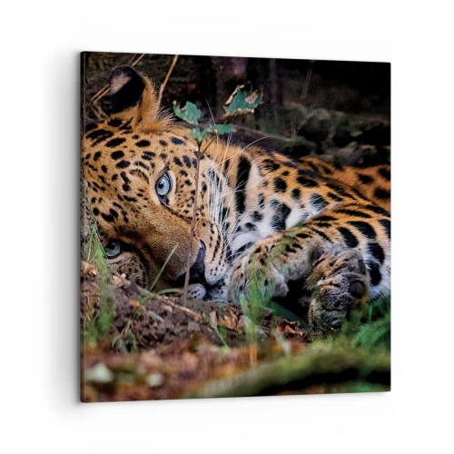 Schilderen op canvas - Geloof me - 50x50 cm