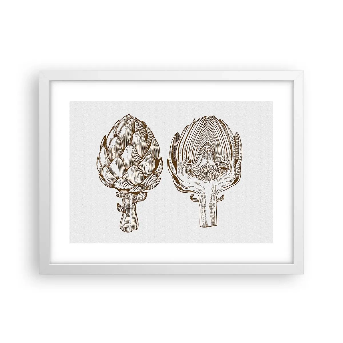 Poster in een witte lijst - Anatomieles - 40x30 cm