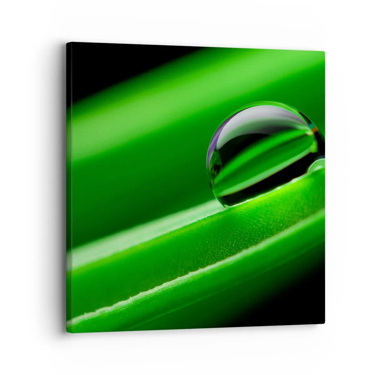 Schilderen op canvas - Leven van dichtbij - 30x30 cm