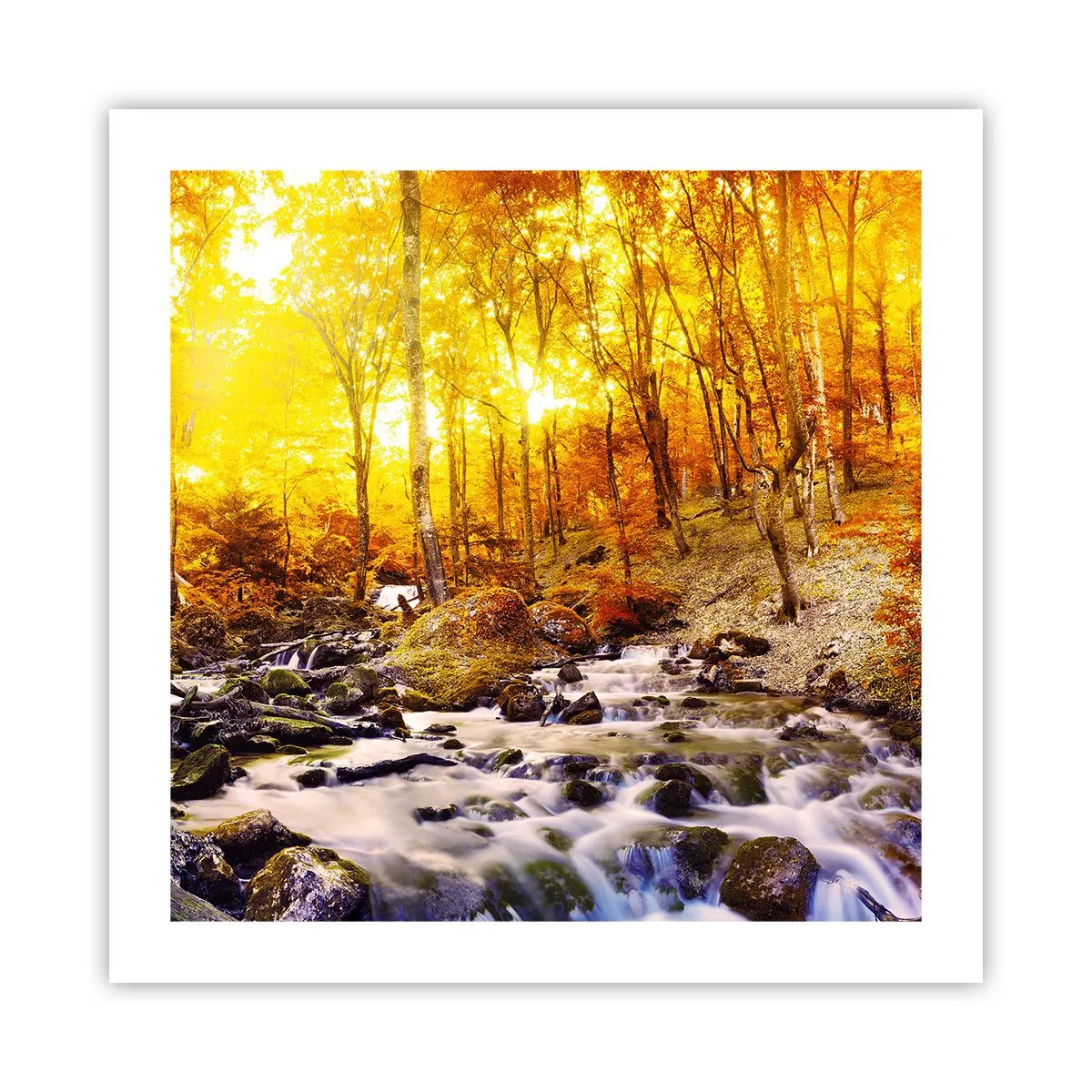 Poster - Stenen gezet in goud en platina - 50x50 cm