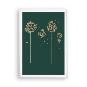 Poster in een witte lijst - Kruidenfamiie / Familie Ziółkowsi ?? - 70x100 cm