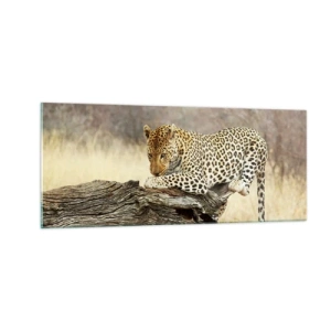 Schilderen op glas - Ik ga mijn eigen weg - 100x40 cm