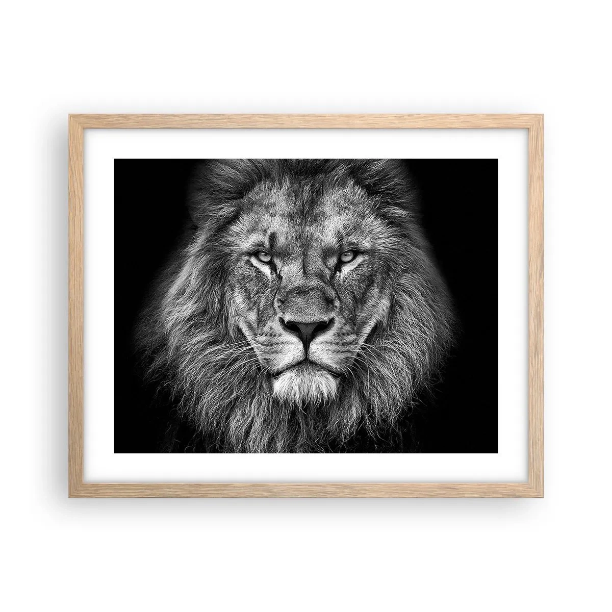 Een poster in een licht eiken lijst - In een kroningskleed - 50x40 cm